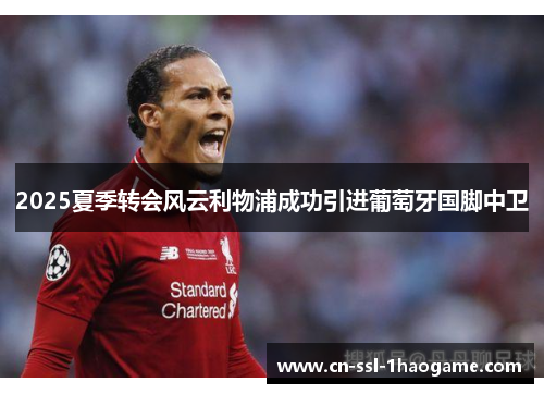 2025夏季转会风云利物浦成功引进葡萄牙国脚中卫