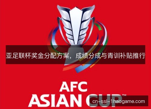 亚足联杯奖金分配方案，成绩分成与青训补贴推行